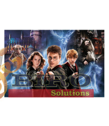 TF Puzzle "160 XL" - Lumea magică a lui Harry Potter